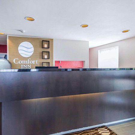 Comfort Inn East Sudbury Esterno foto